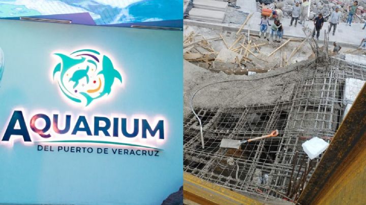 Por fuerte viento, colapsa estructura de construcción en el acuario de Veracruz