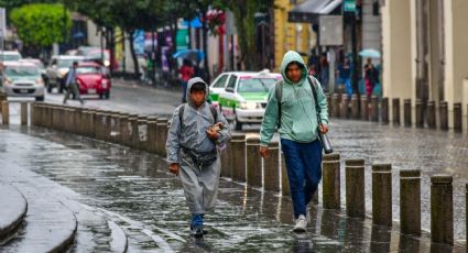 Por tormenta Nadine, suman más de 100 llamadas de emergencia en Xalapa