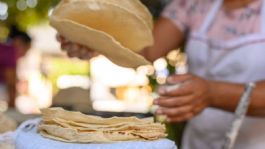 Foto que representa a Incremento a las tortillas, golpe fuerte y desastrozo para familias mexicanas: Banamex
