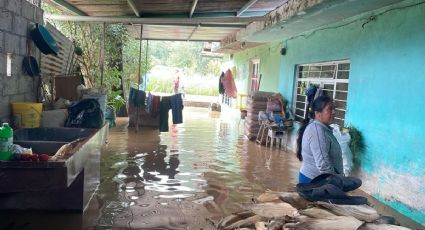 Nogales, Mendoza y Rafael Delgado: las afectaciones tras lluvias