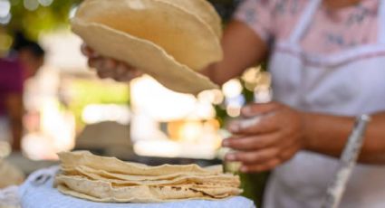 Aumento de hasta 9 pesos el kilo de la tortilla: Imposible bajar el precio 10%, advierte experto