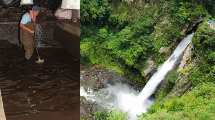 Vecinos en Xico denuncian que nueva granja de truchas acapararía agua