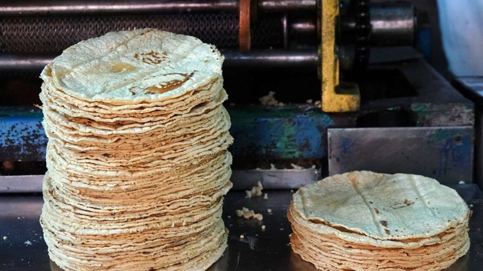 El precio de la tortilla en México es de 23.17 pesos en promedio.