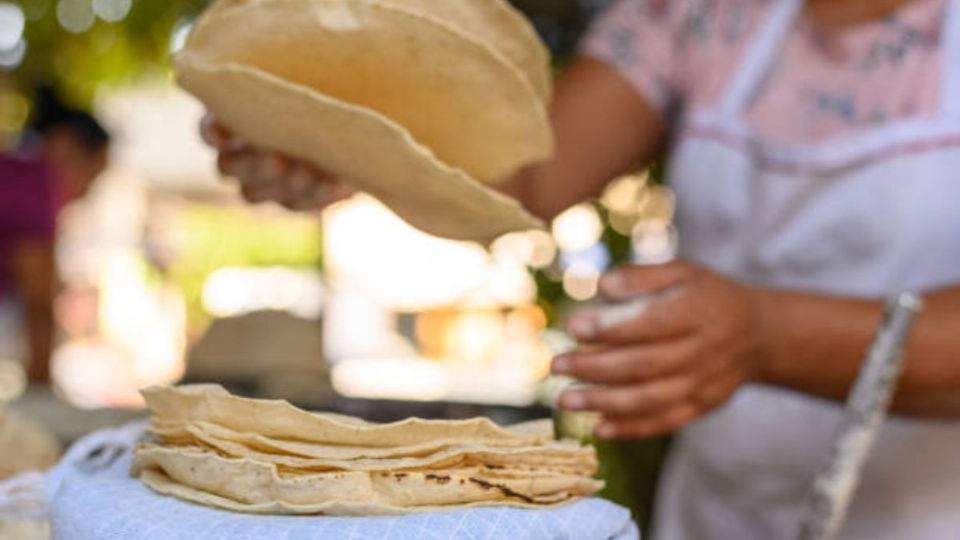 El gobierno de México a través de la Secretaría de Agricultura y Desarrollo Rural busca disminuir 10% el precio de la tortilla