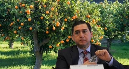 Empresa china se interesa en comprar “miles de toneladas” de frutas y verduras de Hidalgo