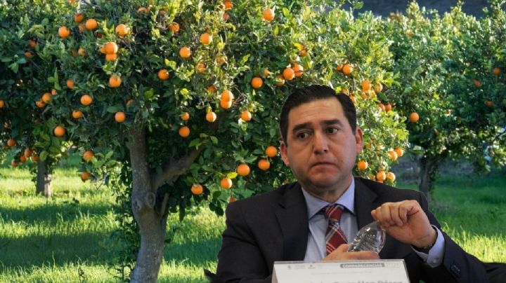 Empresa china se interesa en comprar “miles de toneladas” de frutas y verduras de Hidalgo