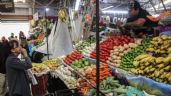 Foto ilustrativa de la nota titulada: Jitomate más barato: un beneficio temporal para los bolsillos de las familias mexicanas