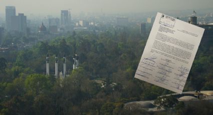 El PAN perdido en el bosque