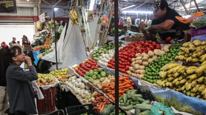 Jitomate más barato: un beneficio temporal para los bolsillos de las familias mexicanas