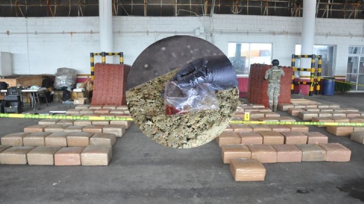 Así fue el decomiso de casi 1 tonelada de marihuana en el puerto de Veracruz