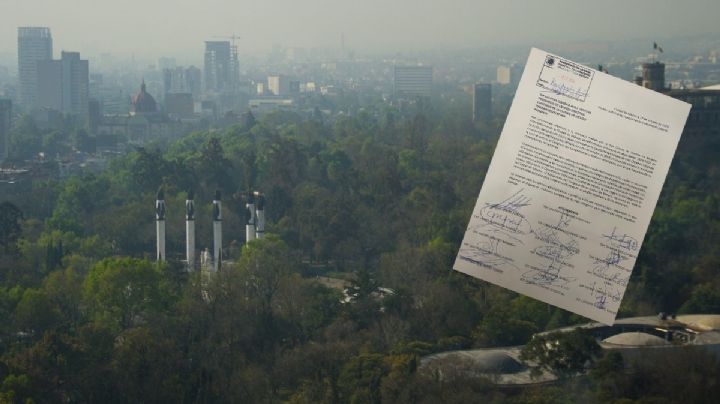 El PAN perdido en el bosque