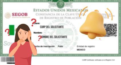 Nuevo CURP en México: Lanzan aviso sobre el trámite de este documento