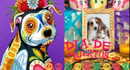 Día de Muertos 2024: Estos son los mejores memes para recordar a las mascotas en su día