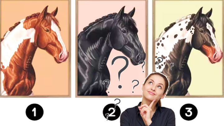 Test de personalidad: Así puedes descubrir cuál es tu talento oculto