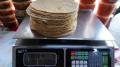 Foto ilustrativa de la nota titulada: Sheinbaum en defensa del precio popular de la tortilla