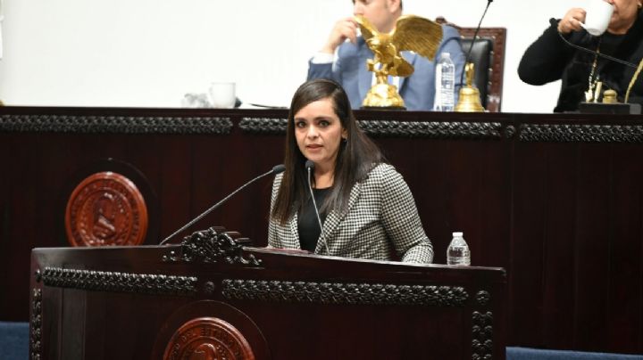 Diputada pide a la Proespa castigar caso de maltrato de un perro en Huejutla