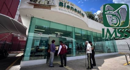 Guanajuato: ¿Se pueden tener las pensiones del IMSS y Bienestar al mismo tiempo?