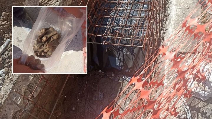 Hallan huesos de 100 años en el Centro Histórico de Veracruz; esto sabemos