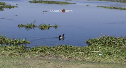 Presa Valsequillo, en Puebla: de paraíso natural a cementerio de horror