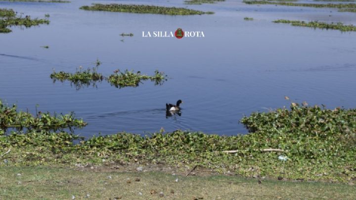 Presa Valsequillo, en Puebla: de paraíso natural a cementerio de horror