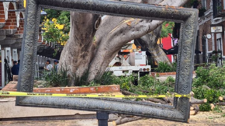 Lluvias y vientos causan estragos en Puebla