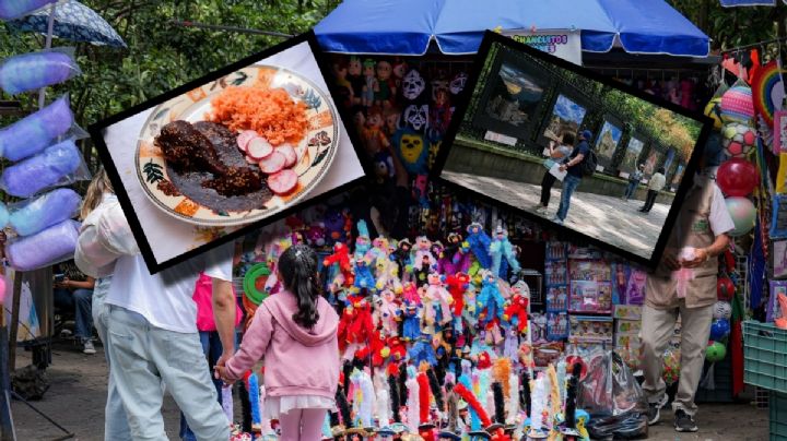 Estas son las actividades GRATIS en CDMX para el fin de semana; de la Feria del Mole al festival de cine