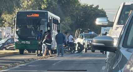 Atropella Oruga a un ciclista en bulevar Francisco Villa