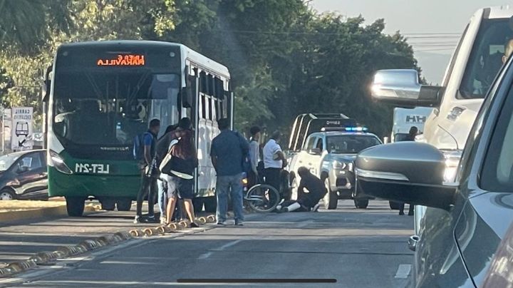 Atropella Oruga a un ciclista en bulevar Francisco Villa