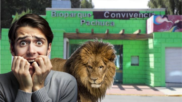 Bioparque de Pachuca tendrá noches de leyendas, checa los horarios y costos