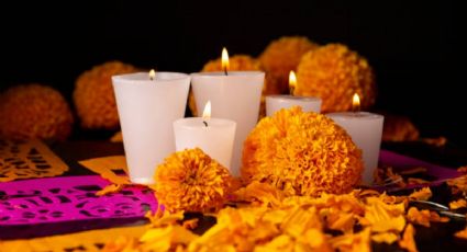 Día de Muertos 2024: ¿Qué pasa si no pones flor de cempasúchil en tu ofrenda?