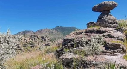 ¿En qué lugar de Guanajuato hay estas esculturas naturales?