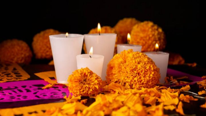 Día de Muertos 2024: ¿Qué pasa si no pones flor de cempasúchil en tu ofrenda?