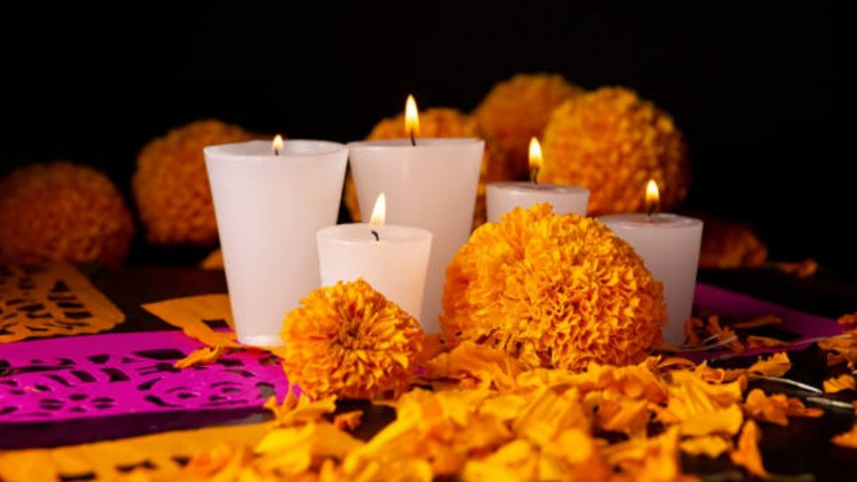 Esta flor es uno de los principaes elementos en los altares de ofrenda en Día de Muertos