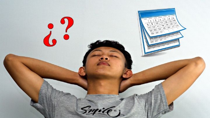 Jornada laboral: ¿Qué días de descanso obligatorio habrá en noviembre?