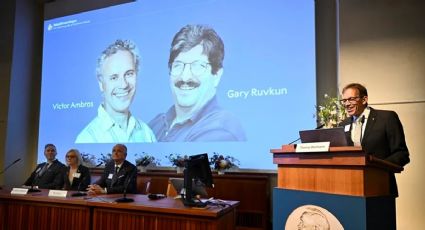 ¿Quiénes son Victor Ambros y Gary Ruvkun, ganadores del Nobel de Medicina 2024?