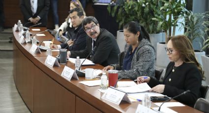 Comisiones del Senado aprueban que Rosario Piedra busque reelección en CNDH