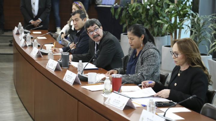 Comisiones del Senado aprueban que Rosario Piedra busque reelección en CNDH