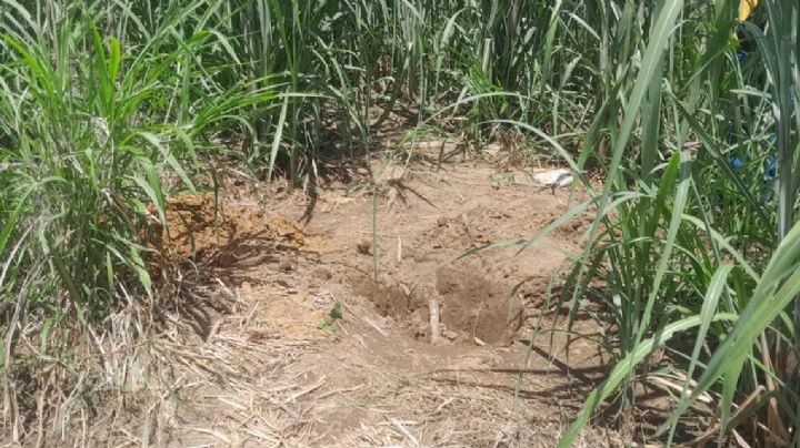 Hallan semienterrados cuerpos de migrantes en Huixtla, Chiapas