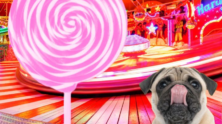 La paleta más grande está en la Feria Pachuca y podría ser tuya; te sorprenderá cuánto pesa