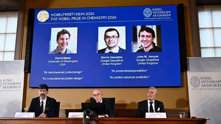 Un trabajo sobre las proteínas mereció el Premio Nobel de Química 2024