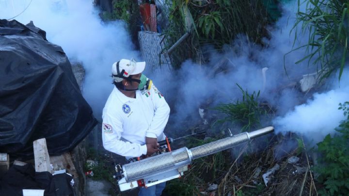 Alerta por aumento de casos de dengue en Nuevo León; solicitan declaratoria de emergencia