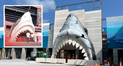 Colocan cabeza del tiburón que era del "Luis Pirata", en entrada del Aquarium de Veracruz