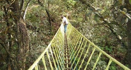 Conoce El Peral: Un parque ecoturístico rodeado por la naturaleza en Guanajuato