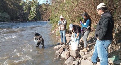 Avanza saneamiento del río Tula; hacen estudios