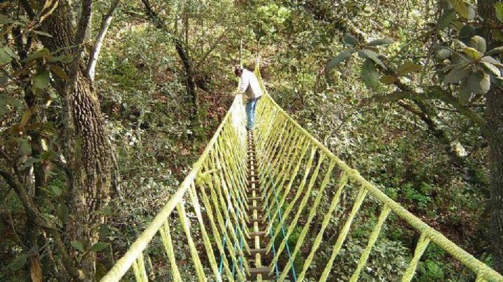 Conoce El Peral: Un parque ecoturístico rodeado por la naturaleza en Guanajuato