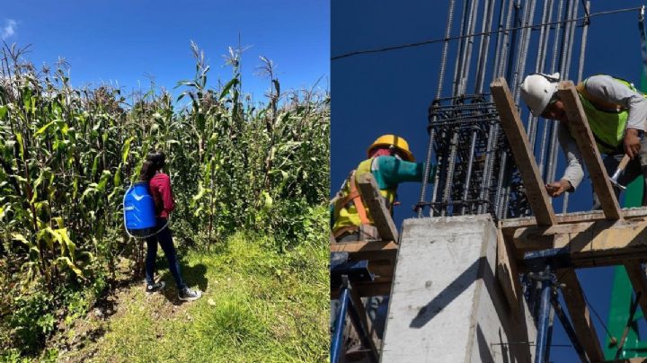 Estos son los 5 oficios que más realizan los veracruzanos