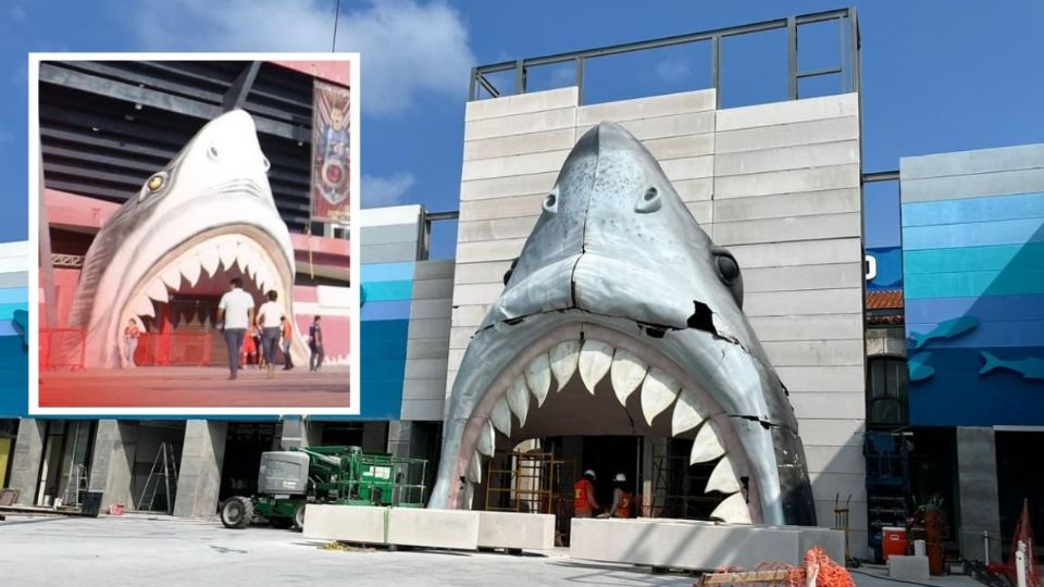 Colocan cabeza de tiburón en la entrada del Acuario de Veracruz esta fecha es la reinauguración