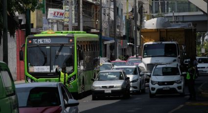 Los autobuses deben ser verdes