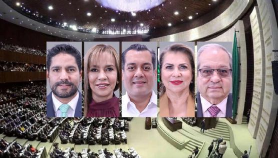 Estas comisiones tendrán diputados federales de Veracruz en la Cámara Alta