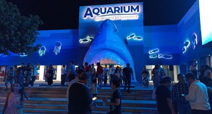 Así se vivió la reapertura del Aquarium del Puerto de Veracruz